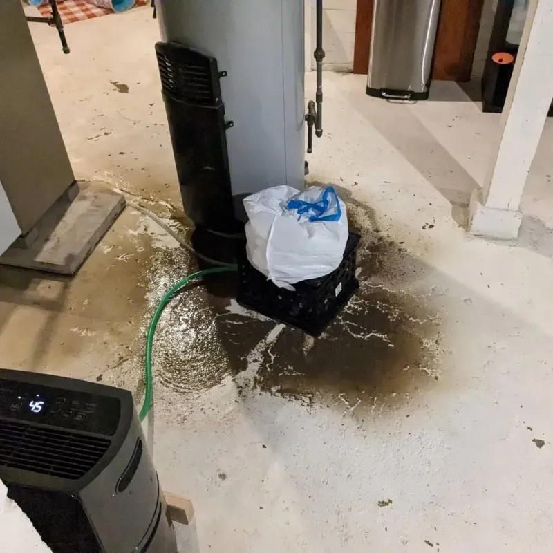 Sewage Backup Cleanup Service in Alburtis, PA